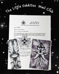 The Little Oddities Snail Mail Club